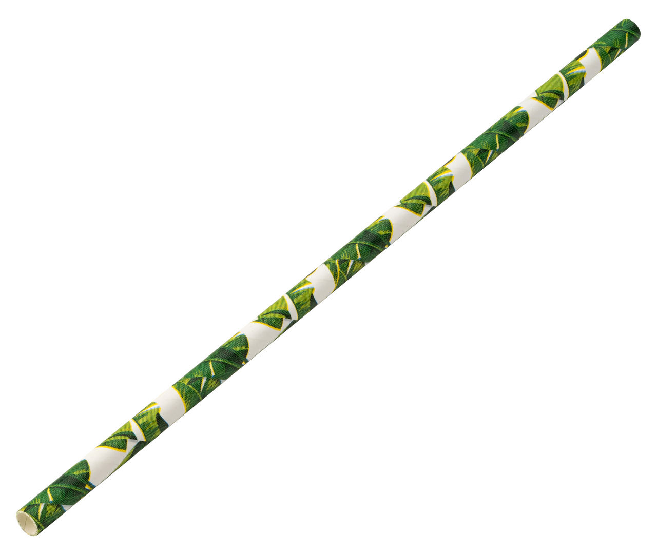 Case of 24 - Paper Tropical Straw 8inch x 250